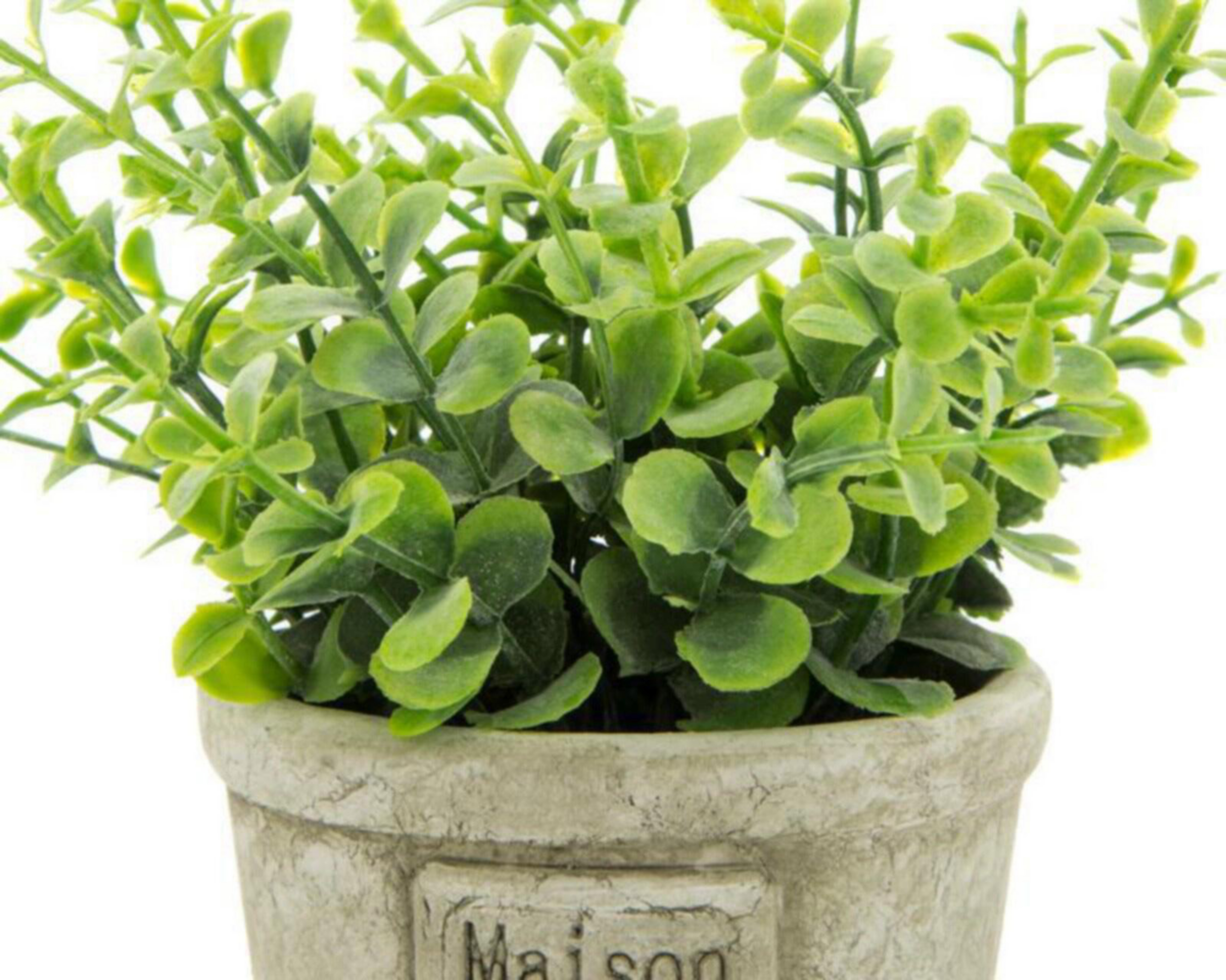 Foto 3 pulgar | Planta Artificial Crassula de 14 cm