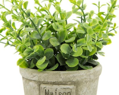 Foto 2 | Planta Artificial Crassula de 14 cm