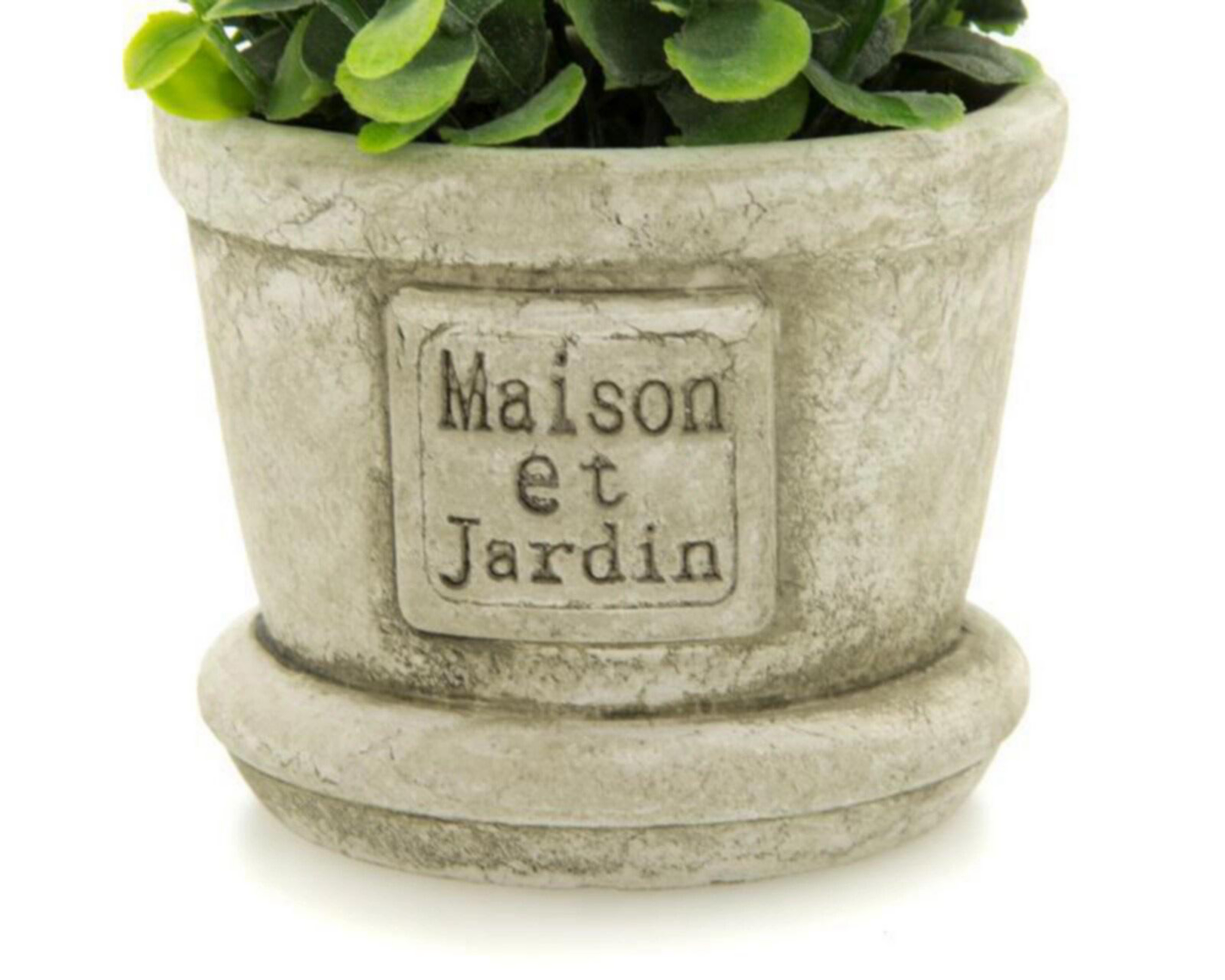 Foto 4 pulgar | Planta Artificial Crassula de 14 cm