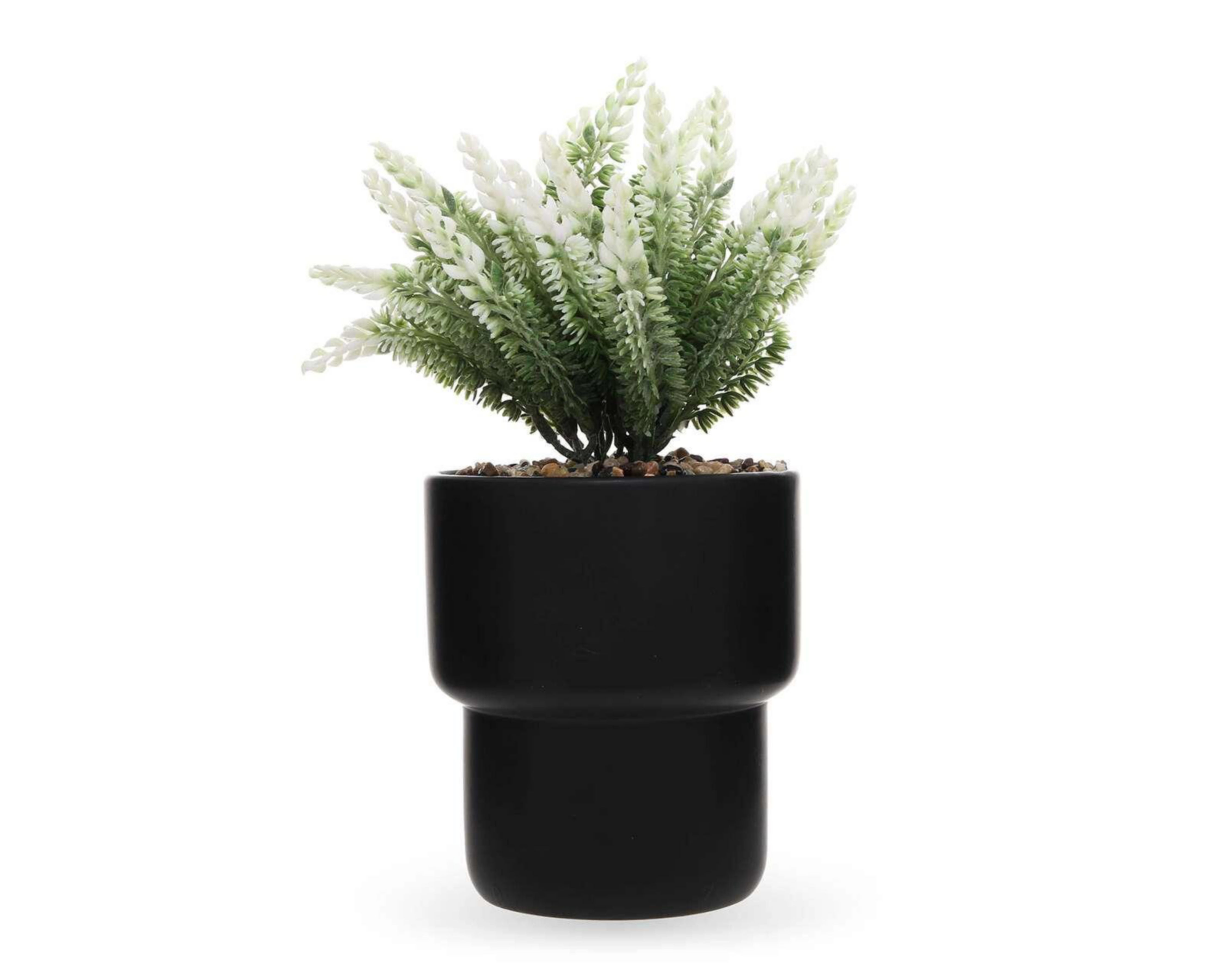 Planta Decorativa con Maceta Starhaus 12 cm