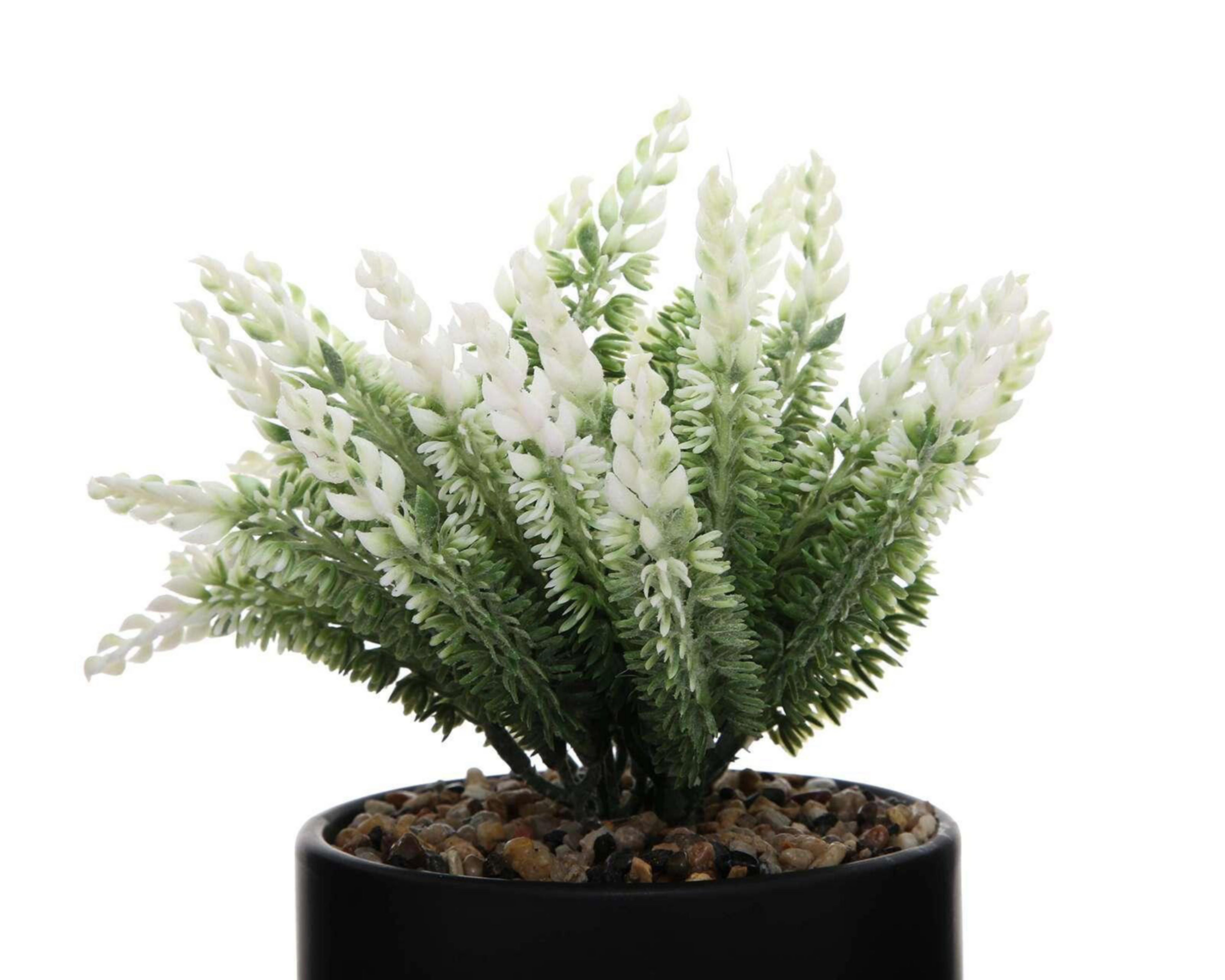 Foto 4 pulgar | Planta Decorativa con Maceta Starhaus 12 cm