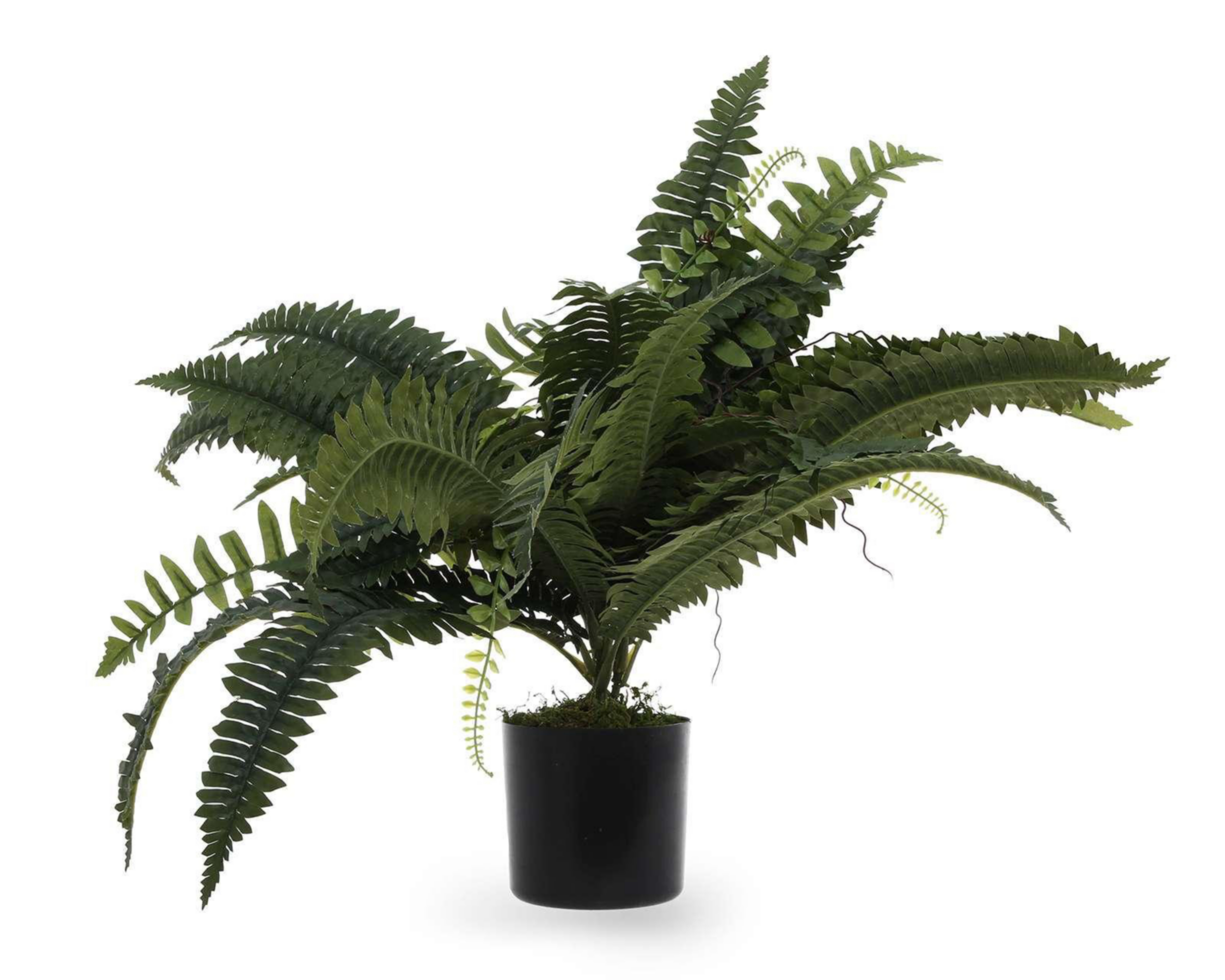 Planta Decorativa con Maceta Starhaus 50 cm