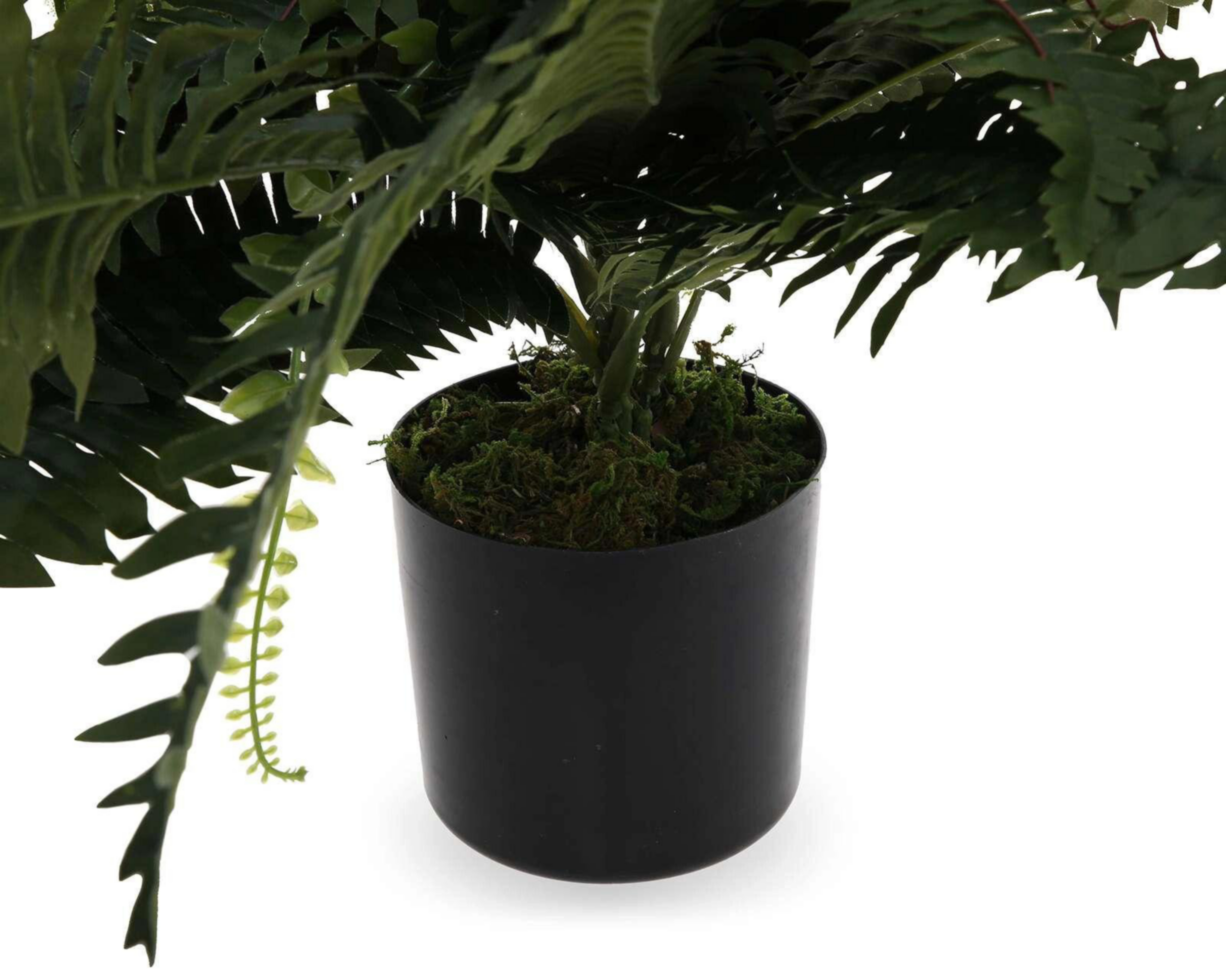 Foto 4 pulgar | Planta Decorativa con Maceta Starhaus 50 cm