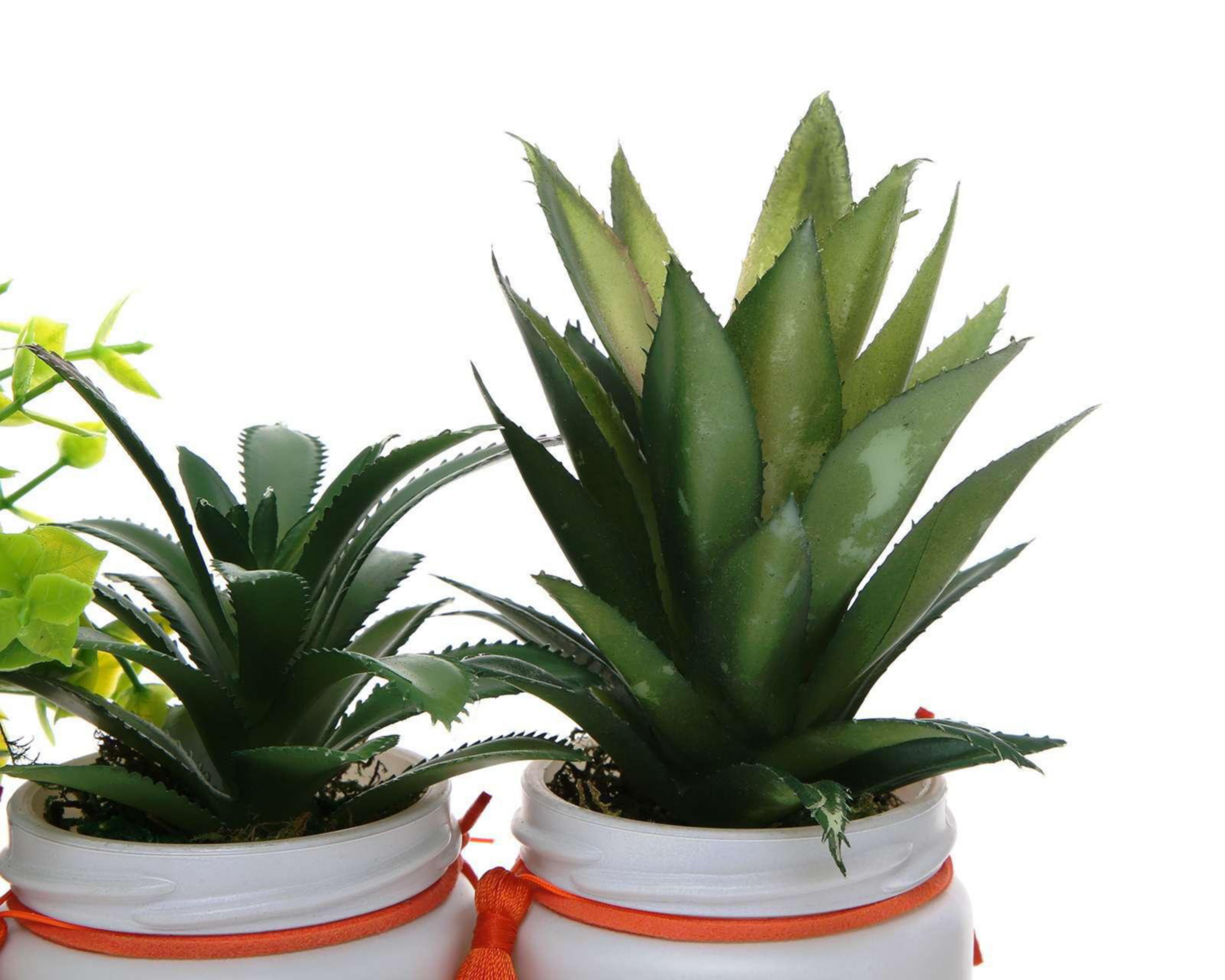 Foto 4 pulgar | Plantas Decorativas de Mesa Starhaus Macetas de Cerámica