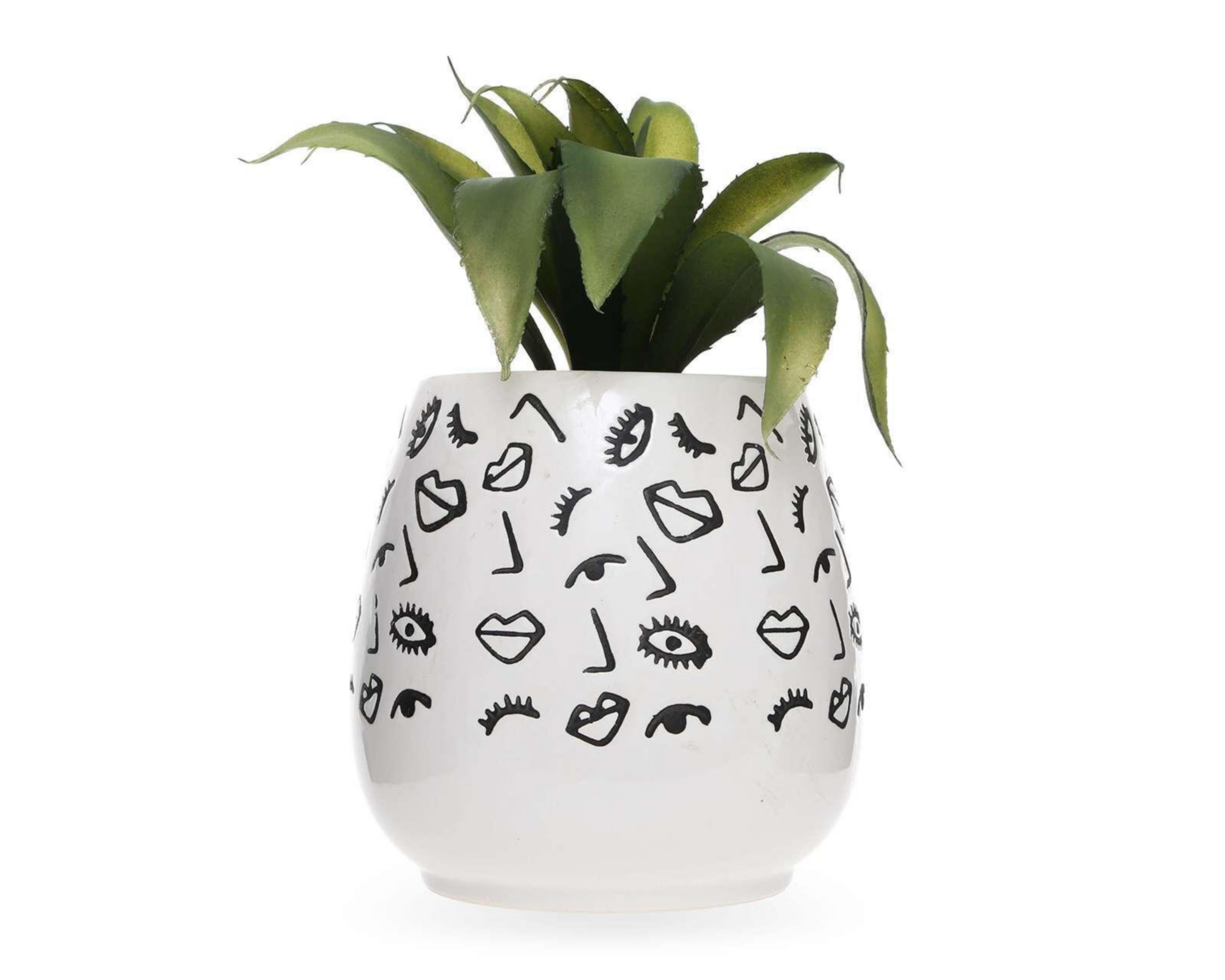 Planta Decorativa con Maceta Starhaus 20 cm