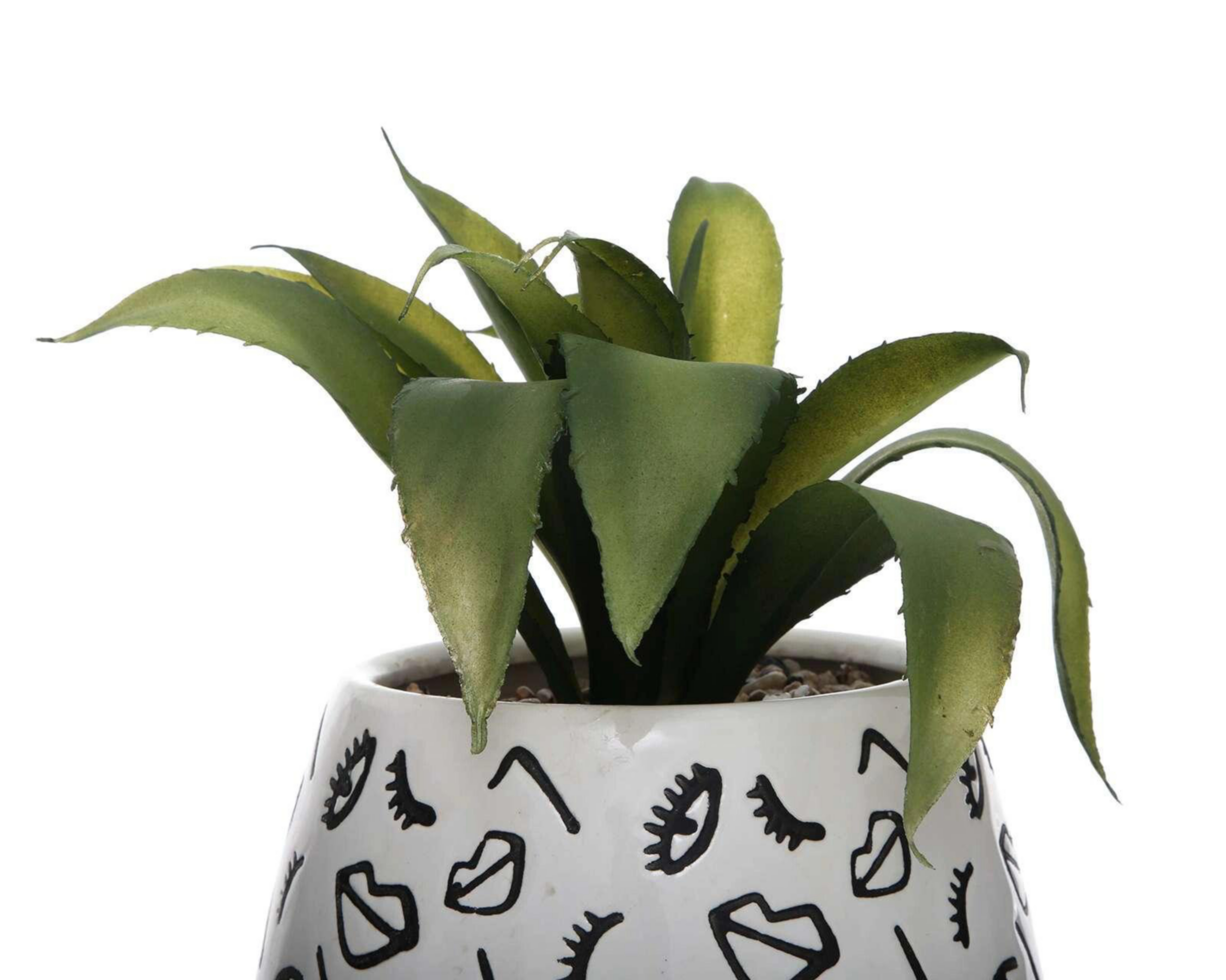 Foto 4 pulgar | Planta Decorativa con Maceta Starhaus 20 cm