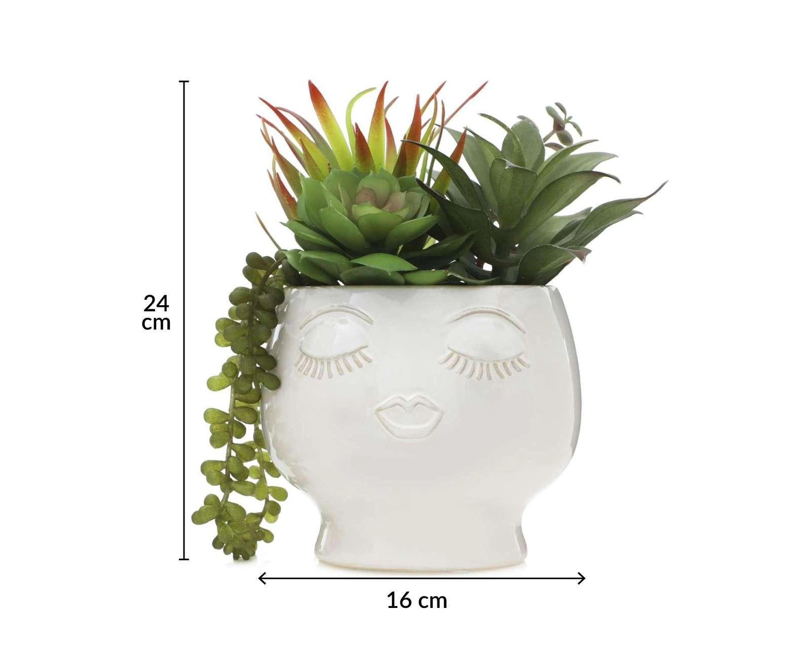 Foto 4 | Planta Artificial con Maceta Starhaus