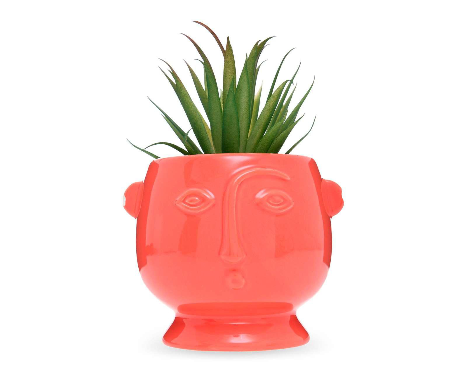 Planta Artificial con Maceta Starhaus $89