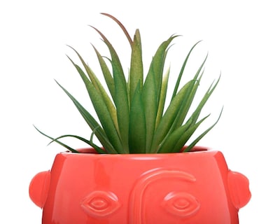 Foto 3 | Planta Artificial con Maceta Starhaus