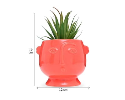 Foto 4 | Planta Artificial con Maceta Starhaus