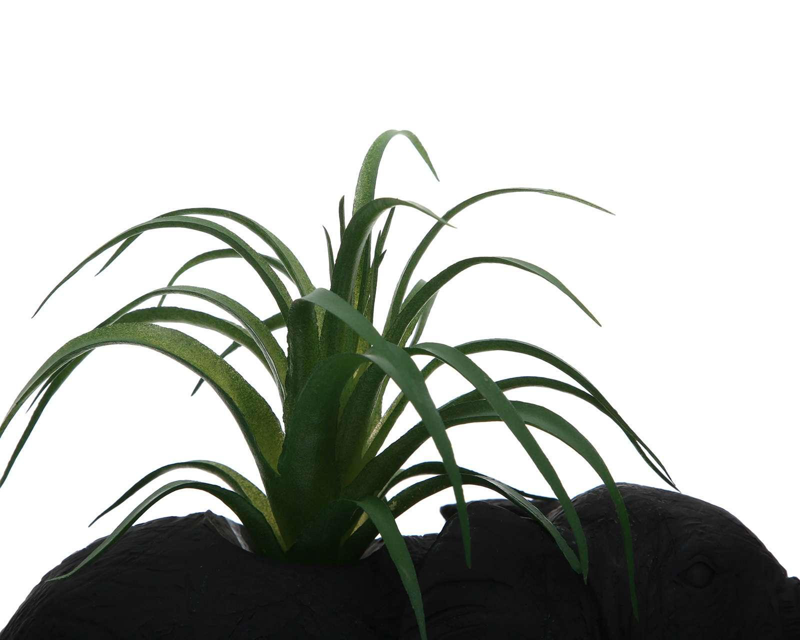 Foto 4 pulgar | Planta Decorativa Starhaus