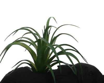 Foto 3 | Planta Decorativa Starhaus