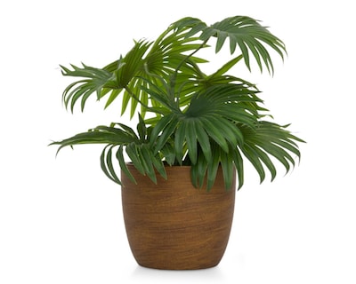 Foto 1 | Planta Artificial con Maceta Starhaus 26 cm