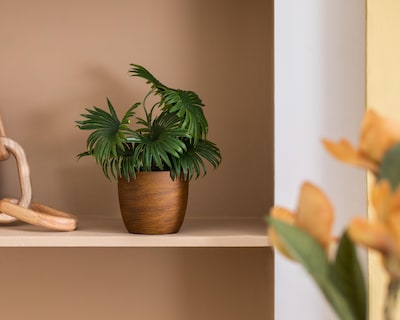 Foto 4 | Planta Artificial con Maceta Starhaus 26 cm
