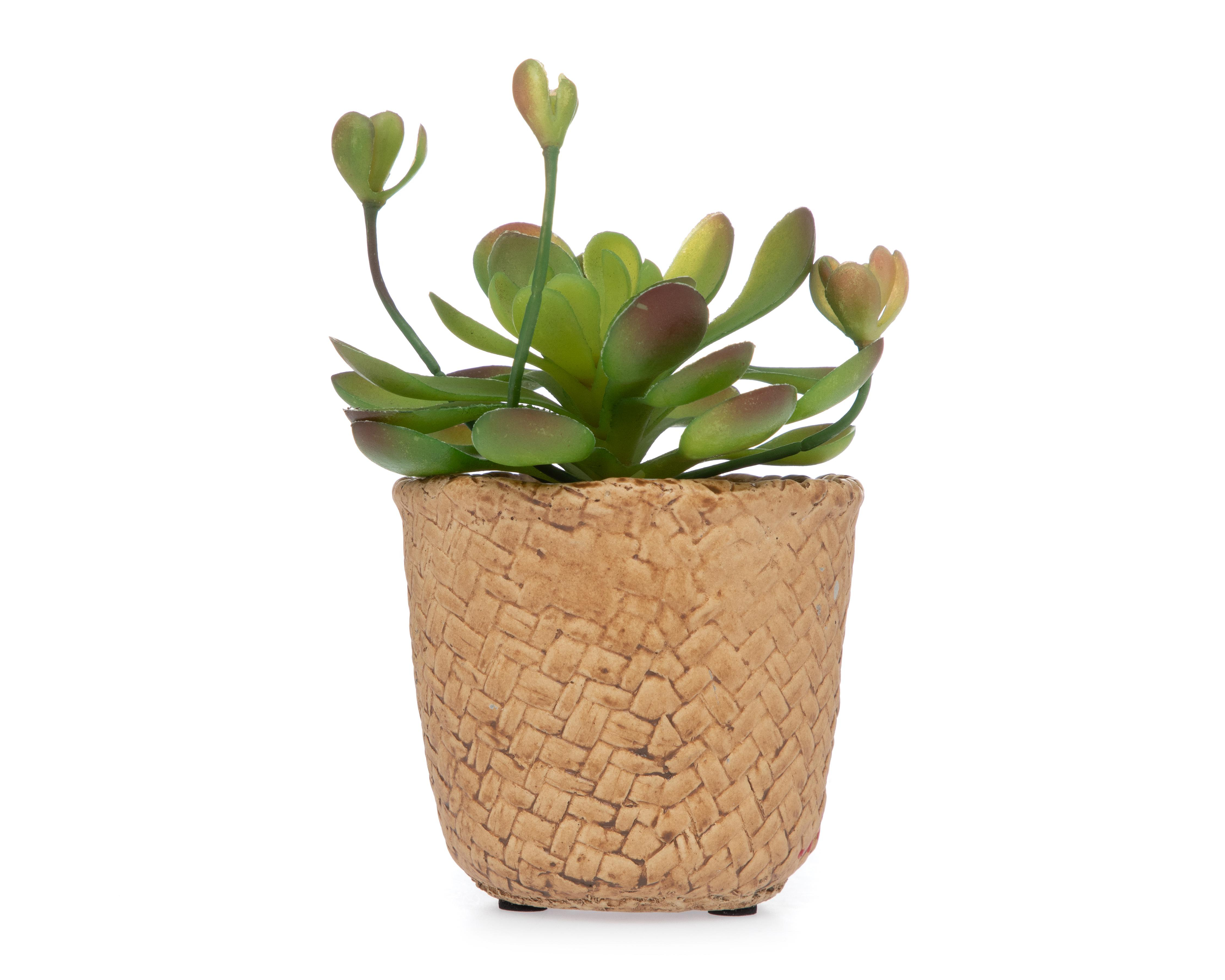 Planta Artificial con Maceta Starhaus 15 cm