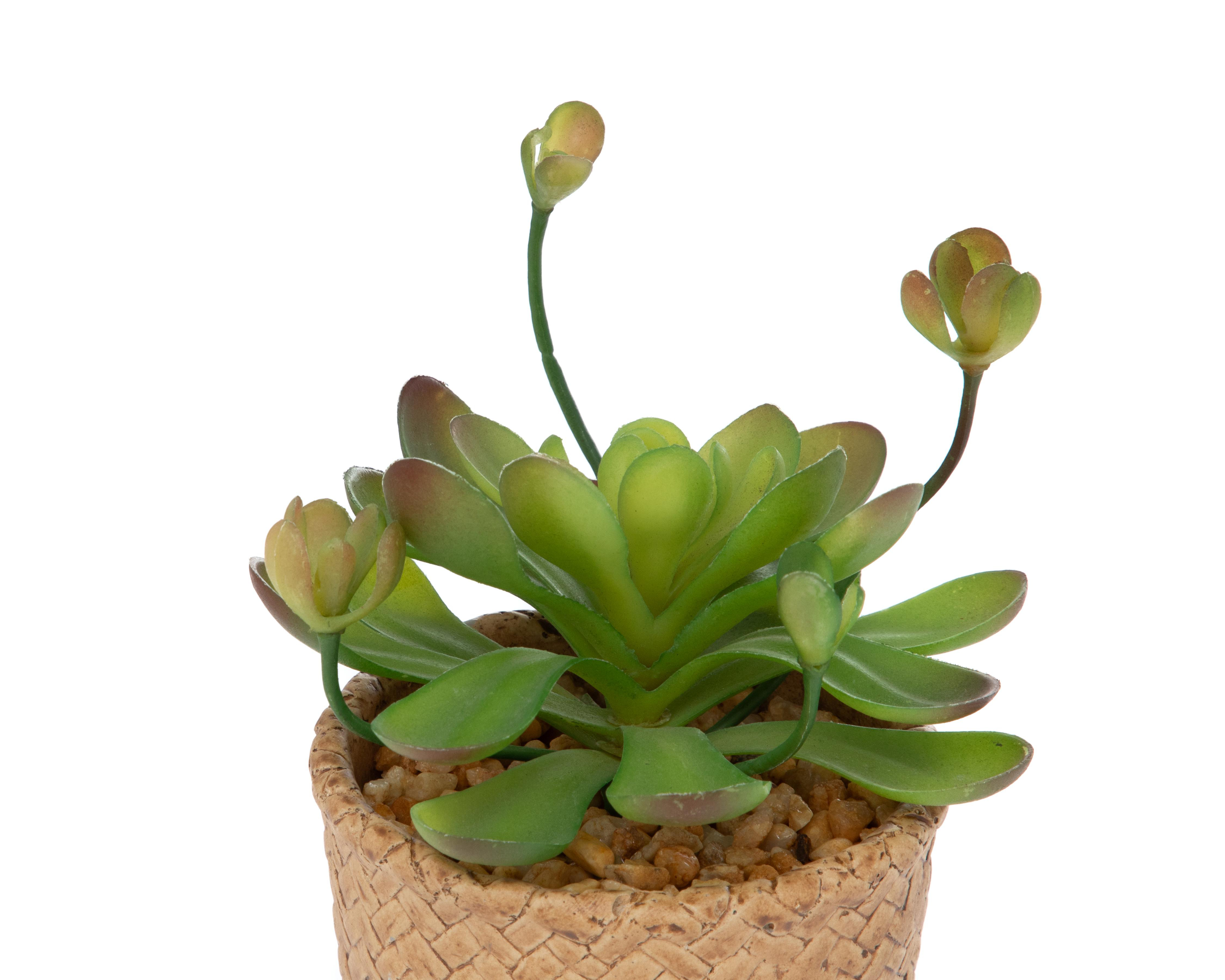 Foto 4 pulgar | Planta Artificial con Maceta Starhaus 15 cm