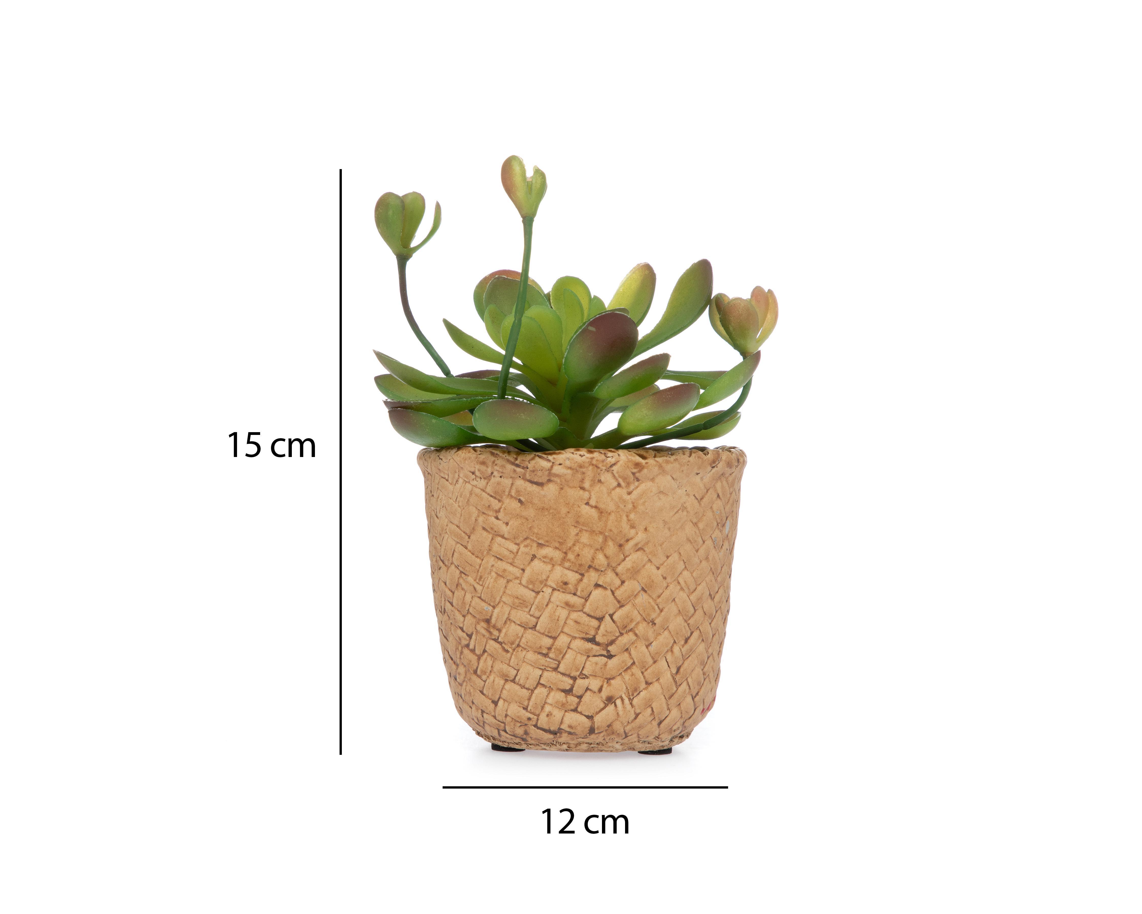 Foto 5 | Planta Artificial con Maceta Starhaus 15 cm