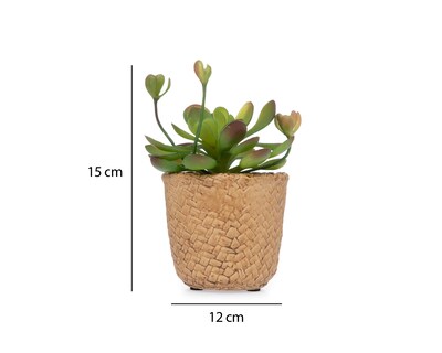 Foto 5 | Planta Artificial con Maceta Starhaus 15 cm