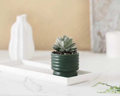 Foto 4 | Planta Artificial con Maceta Starhaus 10 cm