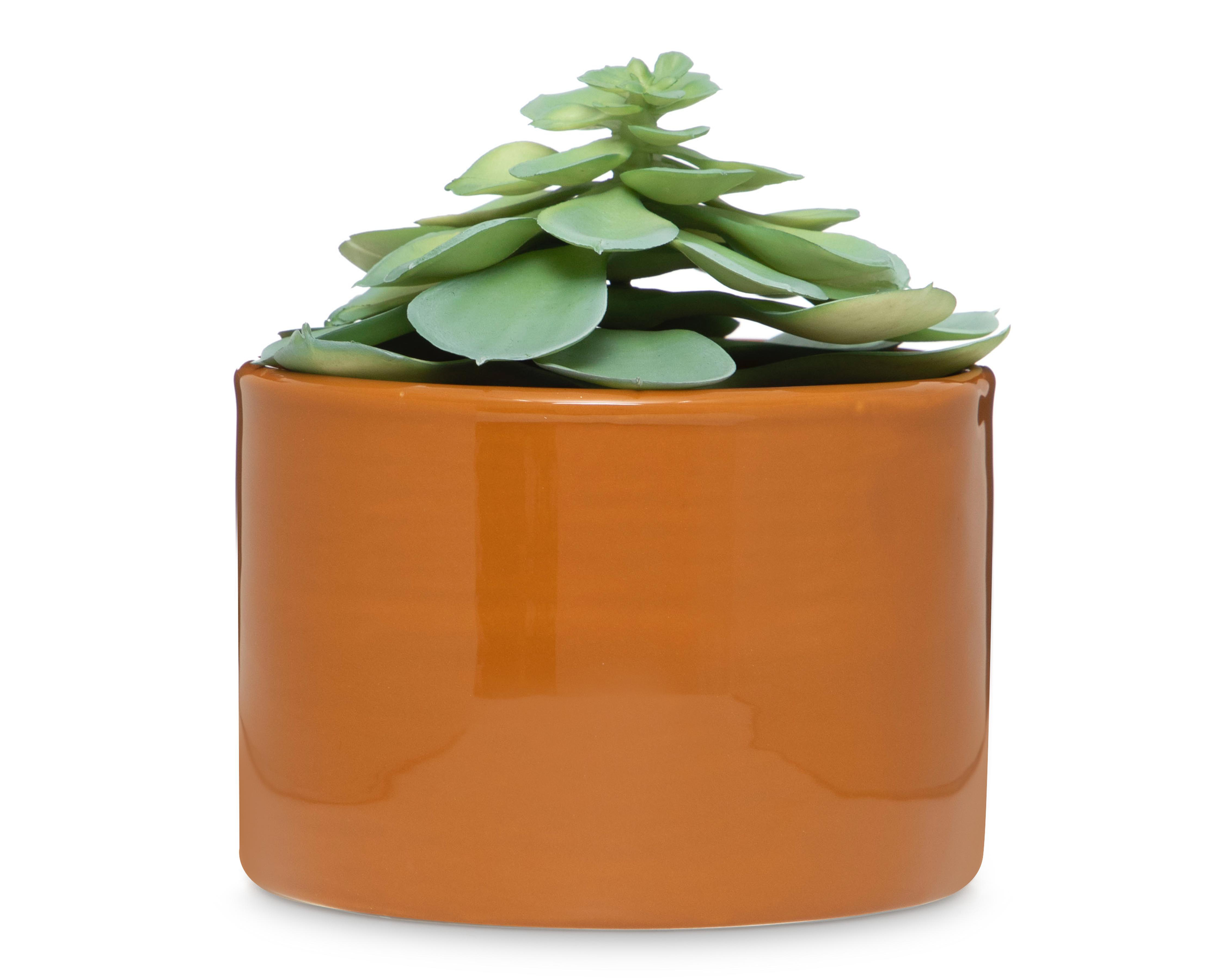 Planta Artficial con Maceta Starhaus 13 cm