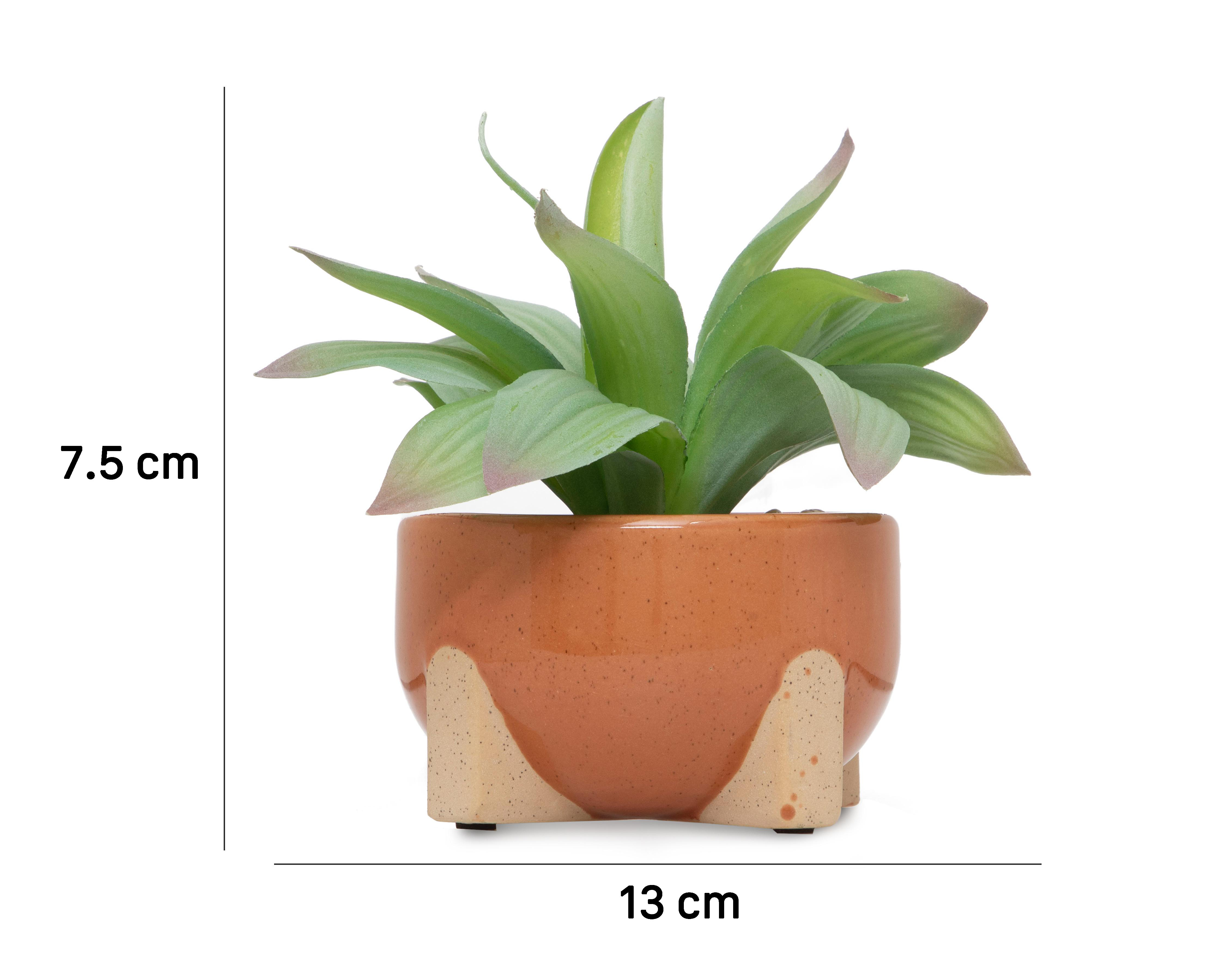 Foto 5 | Planta Artificial con Maceta Starhaus 19 cm