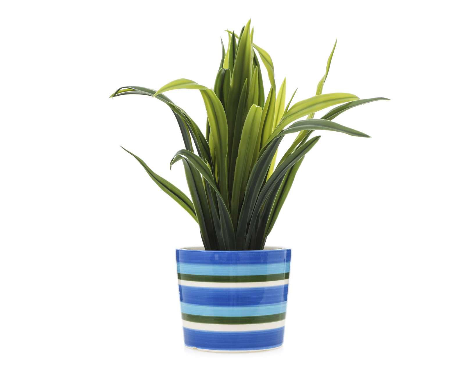 Planta Artificial con Maceta Starhaus