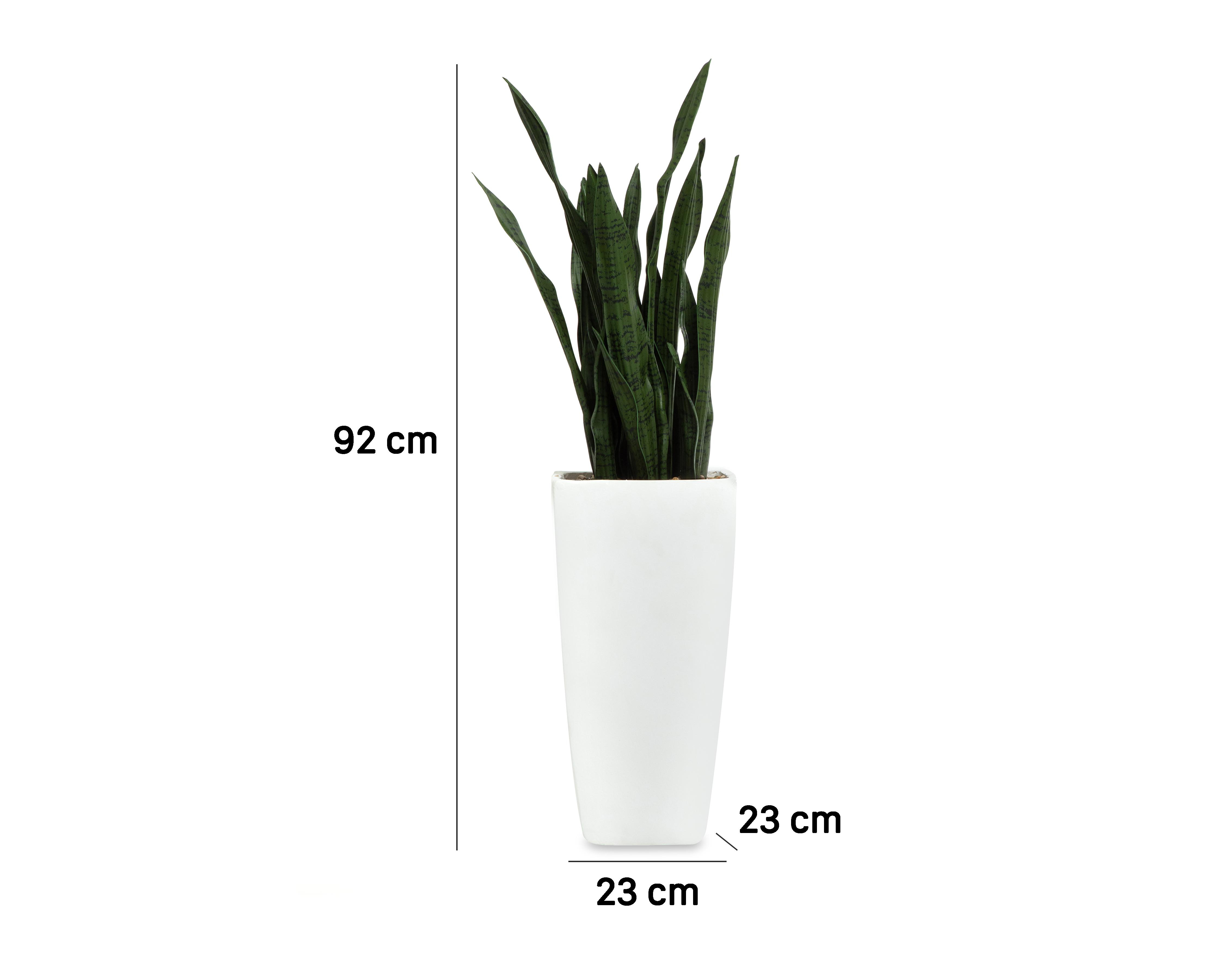 Foto 5 | Planta Artificial con Maceta Starhaus 92 cm