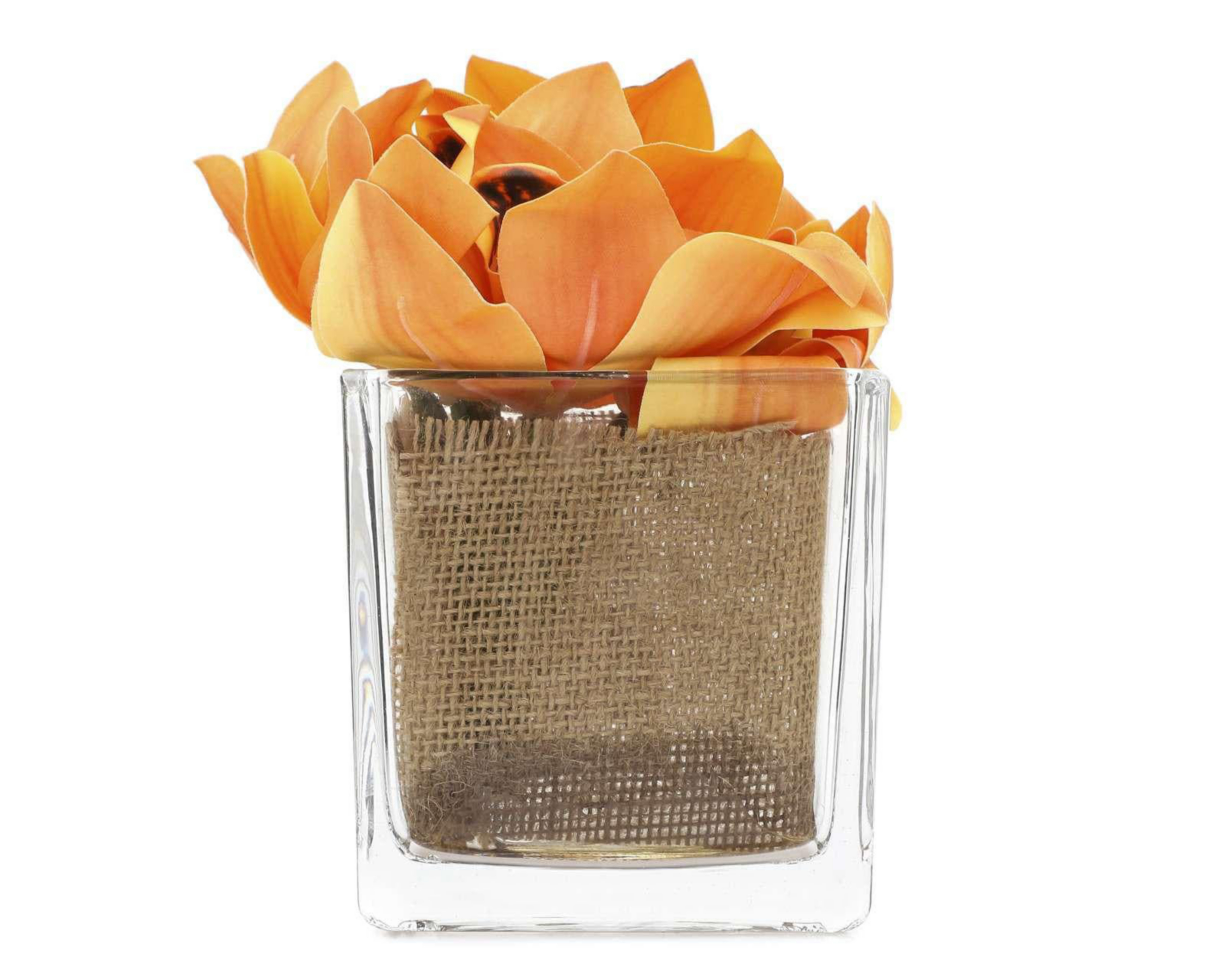 Planta Artificial con Maceta Starhaus $79
