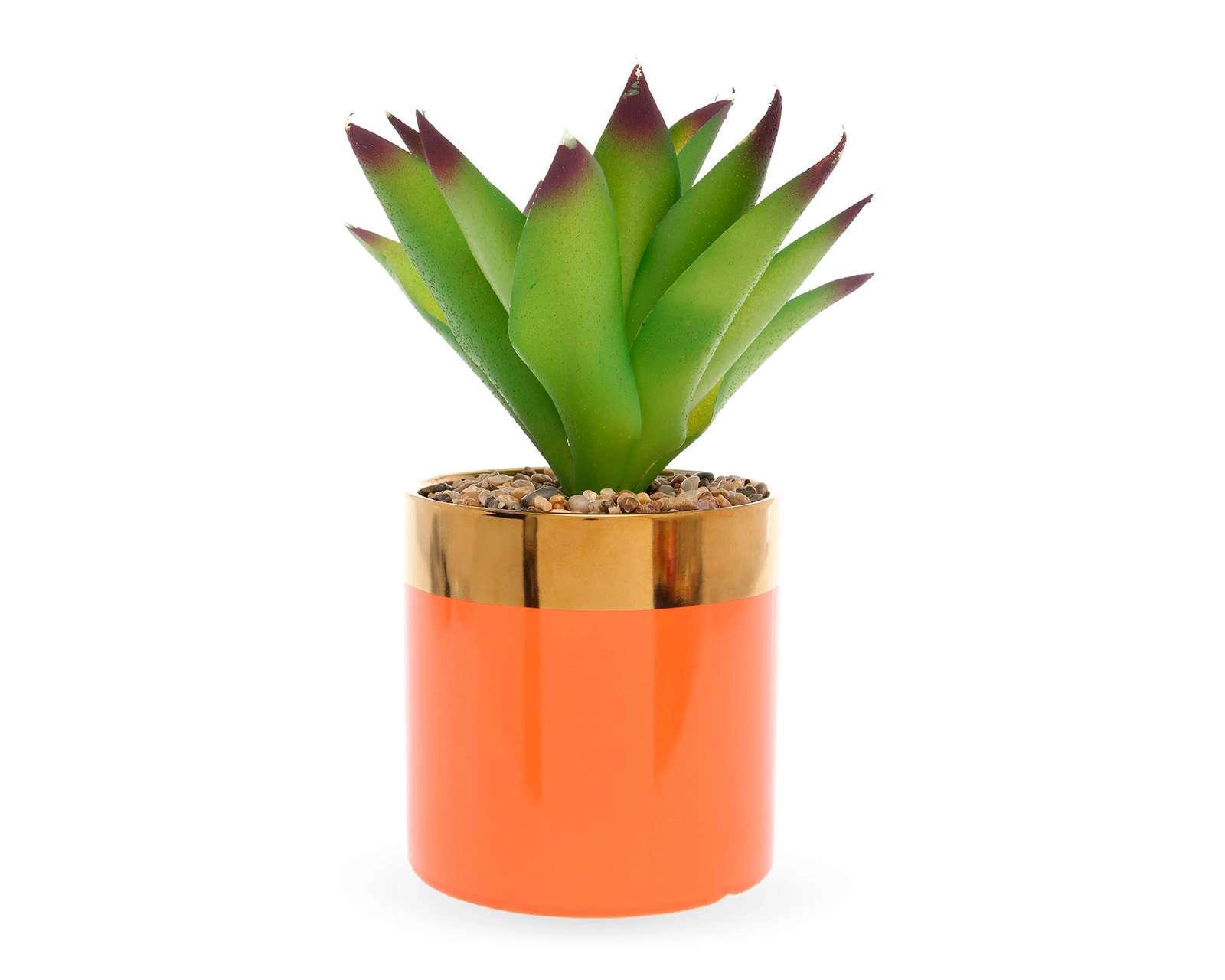 Planta Decorativa Shine Palm $99