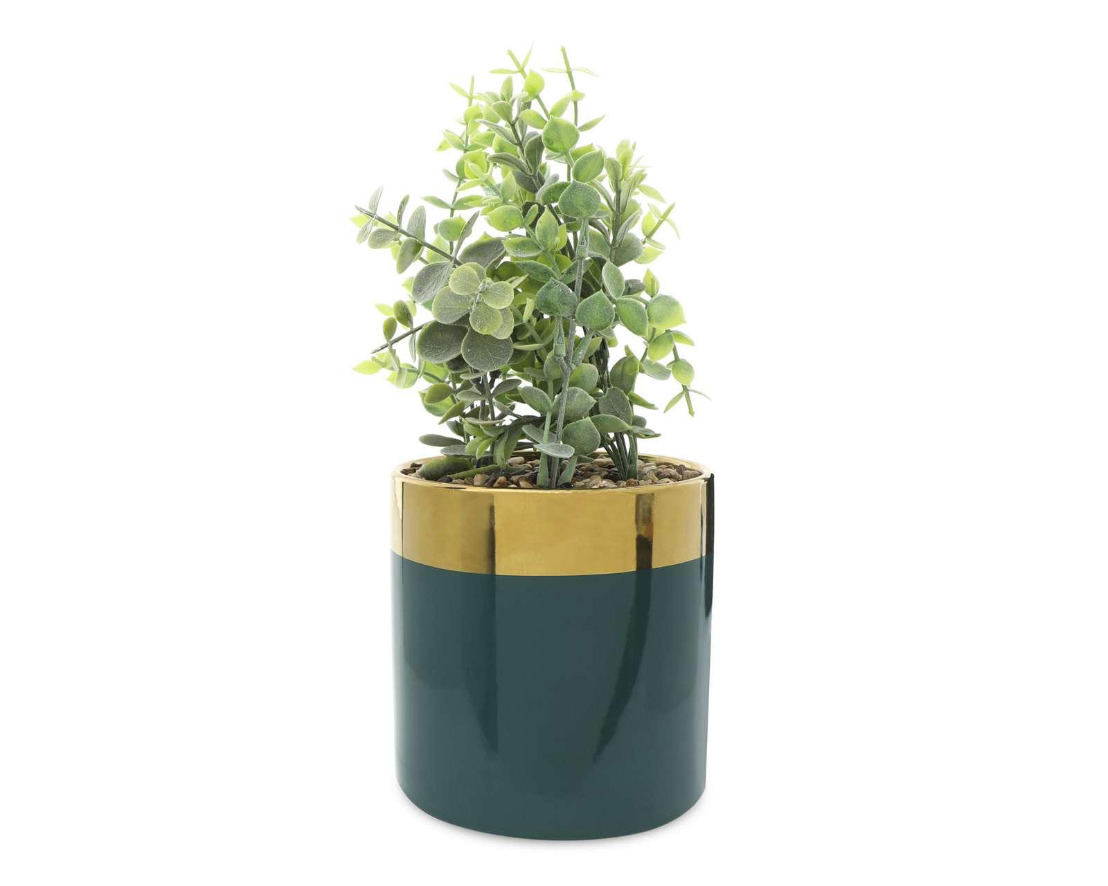 Planta Decorativa Shine