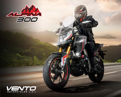 Foto 9 | Motocicleta Vento Alpina 300 cc 2026