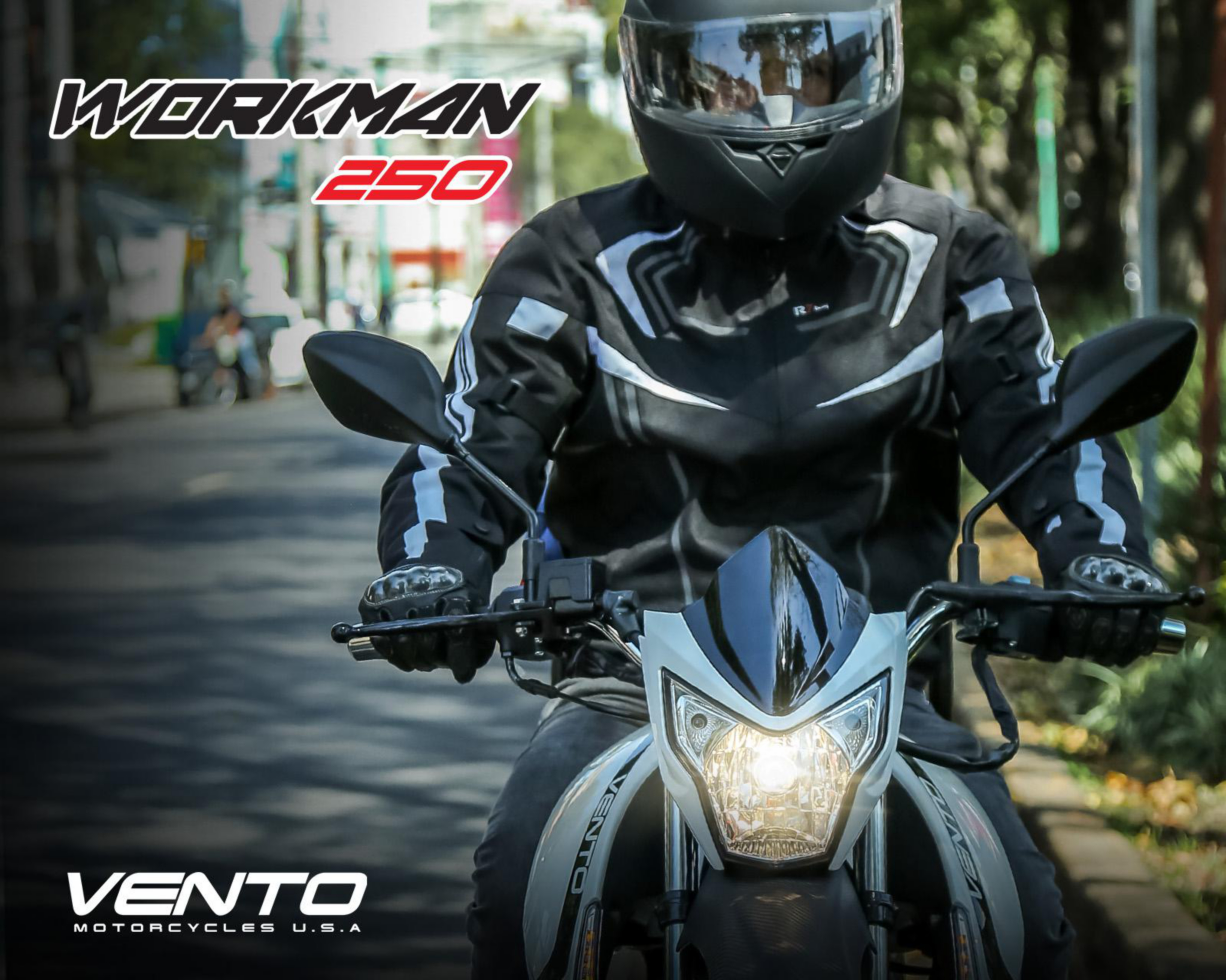 Foto 8 | Motocicleta Vento Workman 250 cc 2026