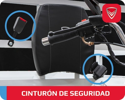 Foto 6 | Motocarro Veloci Covalt Super Duty 300 cc 2026