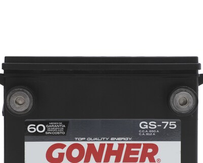 Foto 4 | Acumulador Gonher GS-75