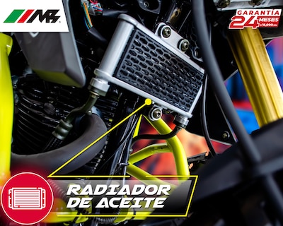 Foto 9 | Motocicleta MB Motos Tekken 250 cc 2024