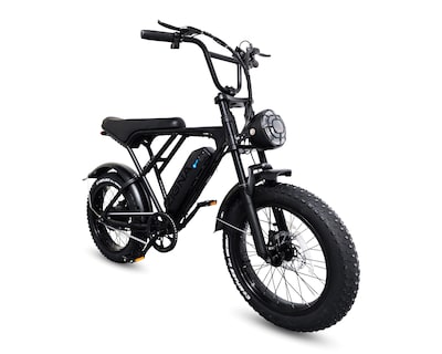 Foto 1 | Bicicleta de Montaña Eléctrica Zigna ROADPOWER 500 20"
