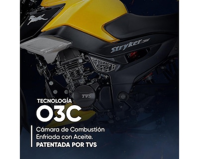 Foto 8 | Motocicleta TVS Stryker 125 cc 2025