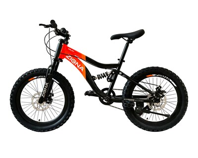 Foto 2 | Bicicleta Infantil Zigna MVP 20" Negra