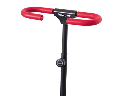 Foto 5 | Máquina de Ejercicio Total Gym Escaladora Cardio Twister