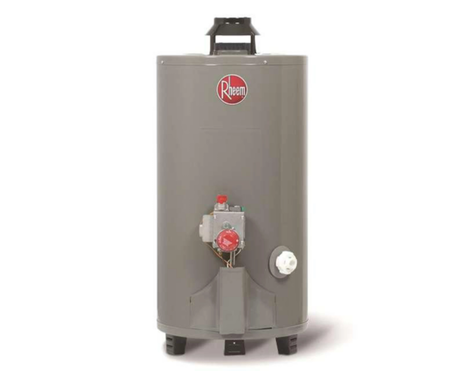 Calentador de Agua Rheem 29V13HR/692210 2 Servicios Gas LP