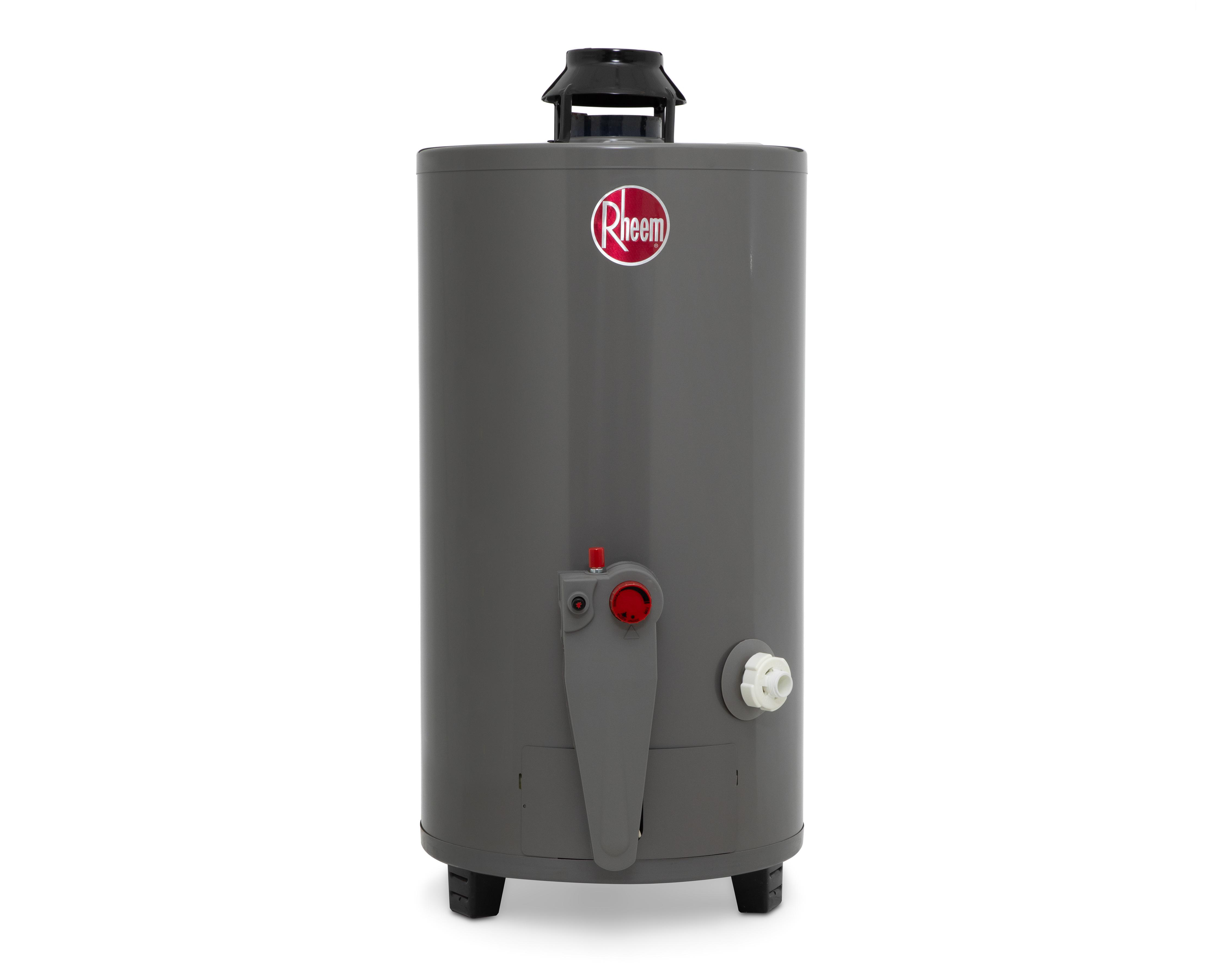 Calentador de Agua Rheem 29V13HR 2 Servicios Gas Natural