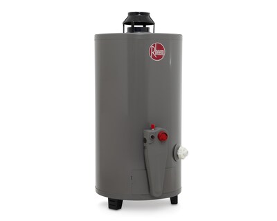 Foto 2 | Calentador de Agua Rheem 29V13HR 2 Servicios Gas Natural