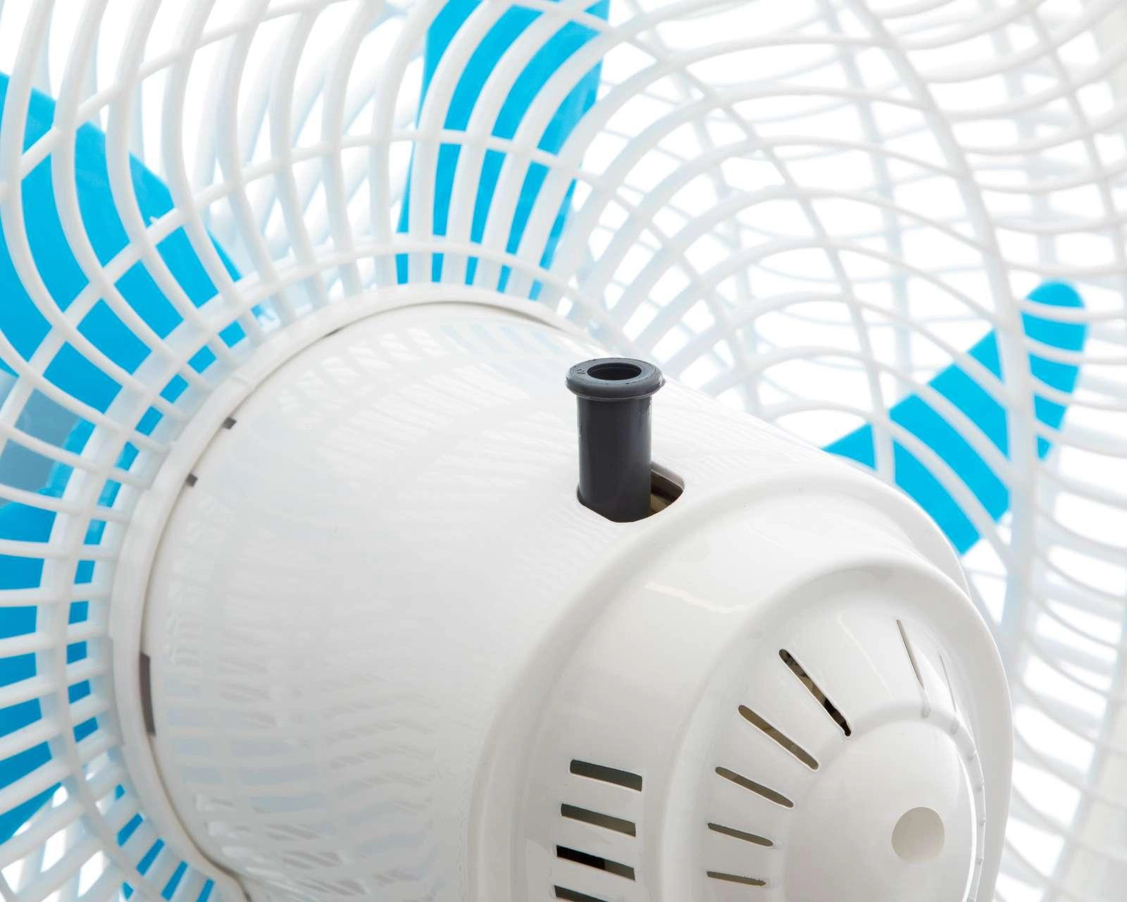 Foto 5 pulgar | Ventilador de Pedestal Taurus