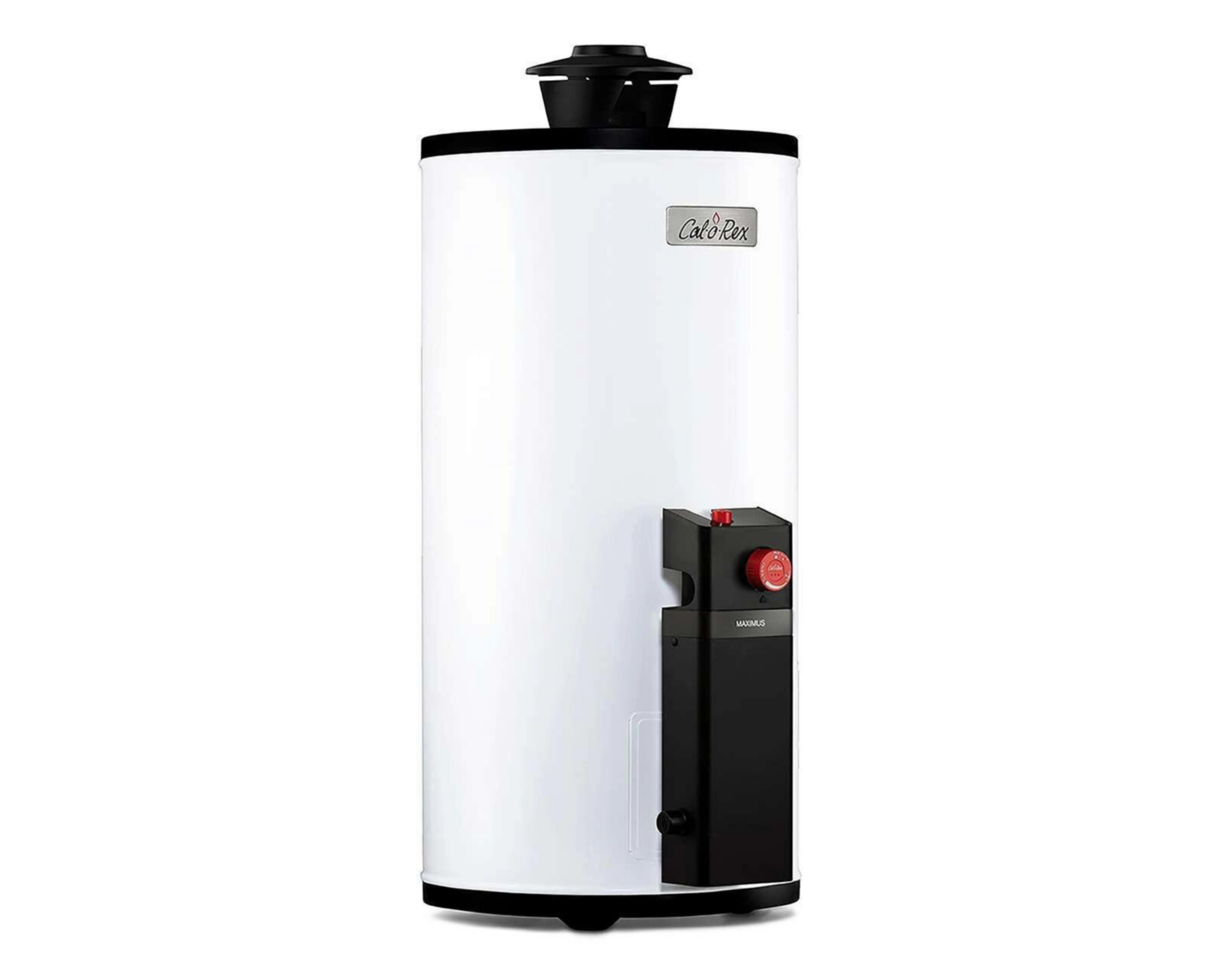 Foto 2 | Calentador de Agua Calorex Maximus G-10 de 1 Servicio Gas Natural