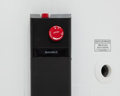 Foto 4 | Calentador de Agua Calorex Maximus G-60 de 6 Servicios Gas Natural