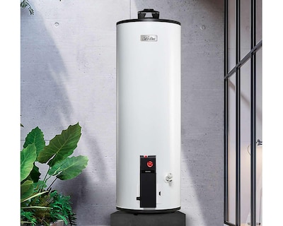 Foto 6 | Calentador de Agua Calorex Maximus G-60 de 6 Servicios Gas Natural