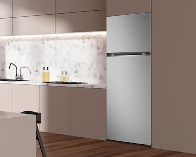 Foto 8 | Refrigerador LG Top Freezer 16 Pies Platino VT45BP.APYFMXM