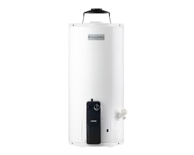 Foto 1 | Calentador de Gas Calorex Fortis Depósito G10