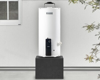 Foto 5 | Calentador de Gas Calorex Fortis Depósito G10