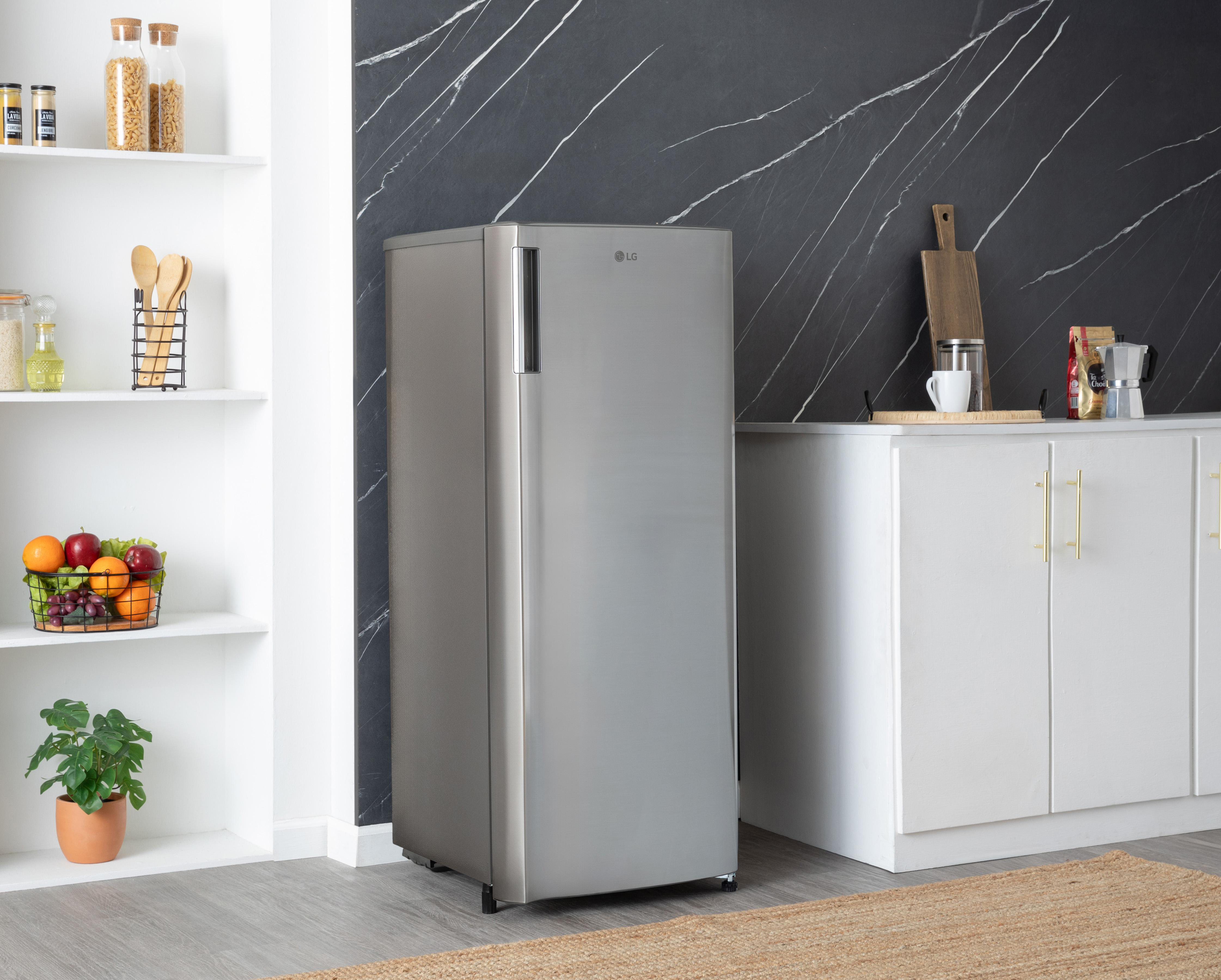 Foto 5 | Congelador LG Vertical 6 Pies Silver GF21BPP